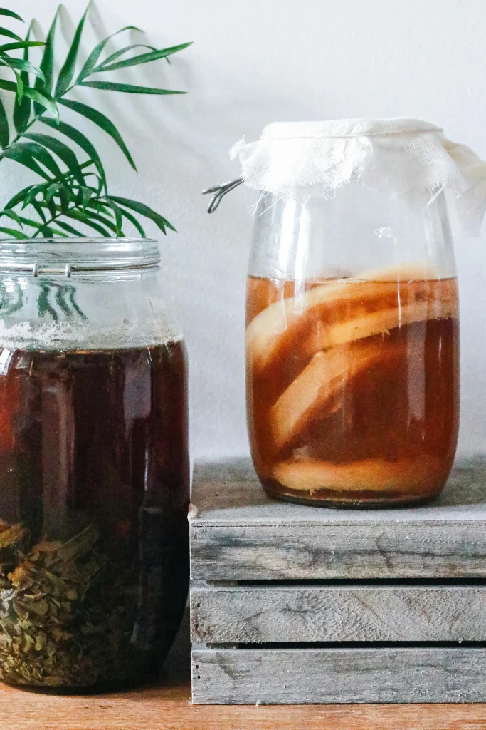 Fakta Scoby Kombucha Rahasia Minuman Sehat dan Cara Membuatnya