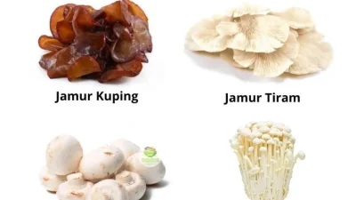 Jenis Jamur yang Bisa Dimakan Sehat dan Bergizi Tinggi