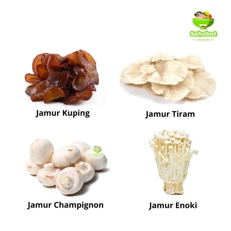 Jenis Jamur yang Bisa Dimakan Sehat dan Bergizi Tinggi
