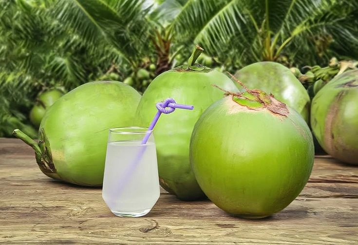Efektivitas Air Kelapa Untuk Diare Dan Dehidrasi