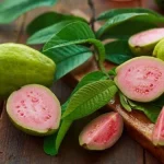 Aman atau Bahaya? Mengungkap Mitos Makan Biji Jambu Biji